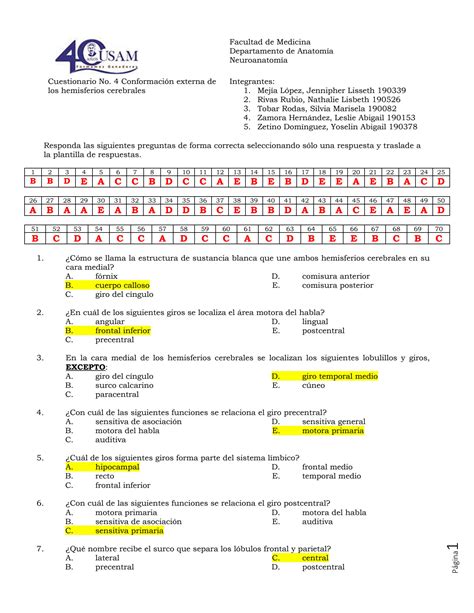 Solution Conformaci N Externa De Los Hemisferios Cerebrales Studypool