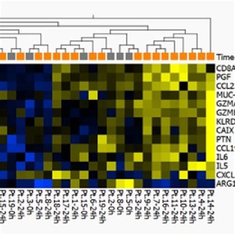 B Heat Map And Two Way Unsupervised Hierarchical Clustering Based On