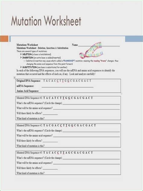 Types Of Mutation Worksheet