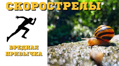 О вреде скорых решений. - YouTube