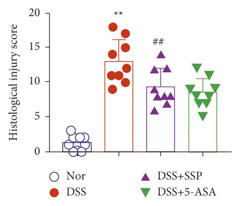 Ssp Ameliorates Dss Induced Colitis In Mice A Changes In Colon