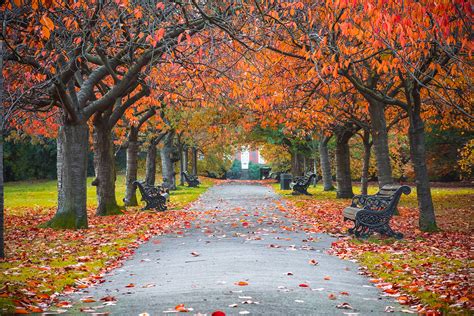 The 6 Best Places To Go In The Fall