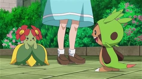 Image Gallery Of Pokemon Xy Episode 59 Fancaps