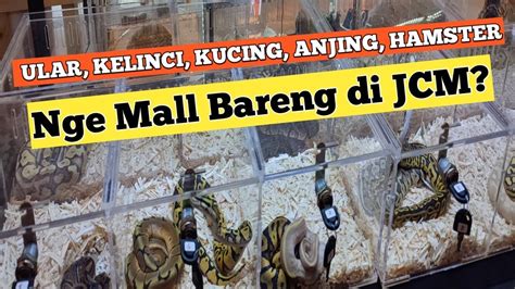 Pameran Hewan Dan Tanaman Di Jogja City Mall Pecinta Hewan Wajib