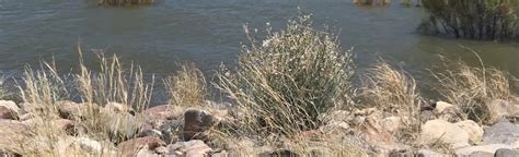 Caballo Lake and Palomas Gap Trail, New Mexico - 29 Reviews, Map ...