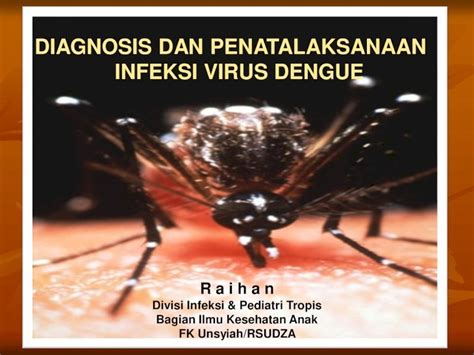 PDF Diagnosis Dan Penatalaksanaan Demam Berdarah Dengue Pada Anak