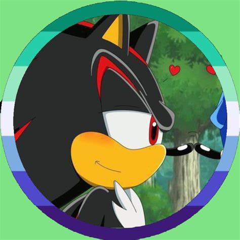 2 2 Sonadow Gay Icon
