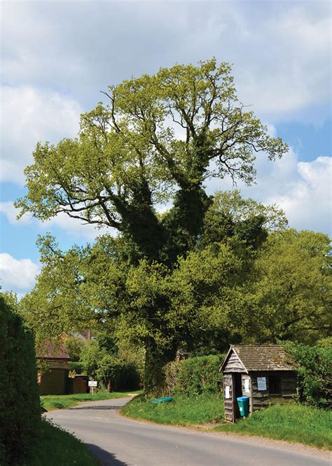 Seven bus schedule cuts are leaving local residents stranded tonight 7