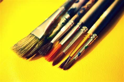 Brushes Paint Palette - Free photo on Pixabay - Pixabay