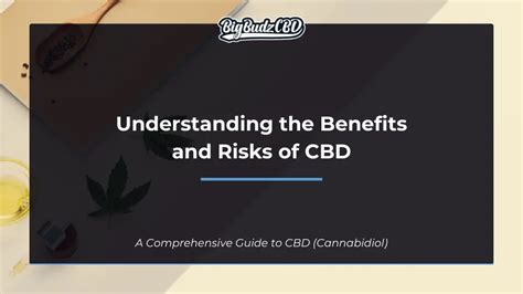 Cbd 101 The Ultimate Guide To All Things Cannabidiol Cbd Oil And Cannabinoids Bigbudzcbd