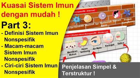 Sistem Imun Non Spesifik Definisi Ciri Ciri Pengelompokkan YouTube