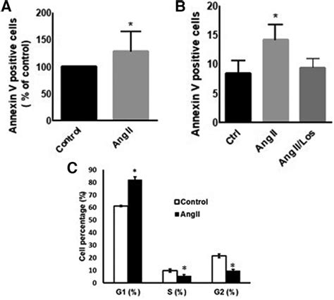 Ang II Induces Apoptosis And Cell Cycle Arrest THP 1 Macrophages Were