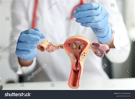 834 Fallopian tube surgery Images, Stock Photos & Vectors | Shutterstock