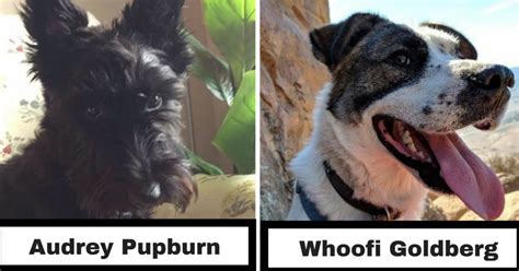 Unique Pet Names That Will Make You Wish You Thought Of Them First