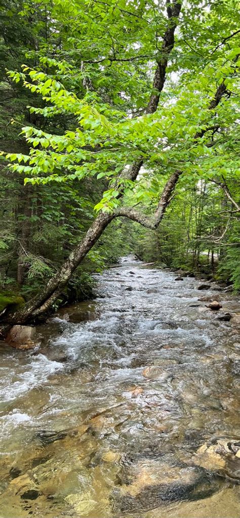 Wallpaper Franconia Franconia Notch New Hampshire