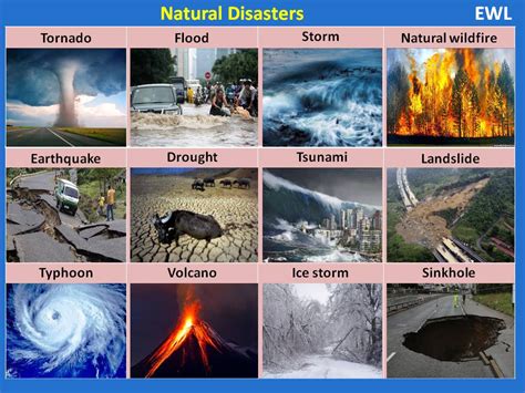 4 Types Of Natural Disaster