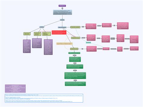 Desarrollo Actividad 1 MAPA Desarrollo Social El DH De Las Personas