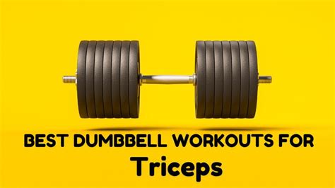 Best Dumbbell Exercises For Stronger Triceps Workoutable