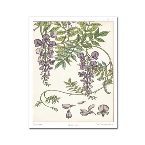 Wisteria Wall Art - Etsy