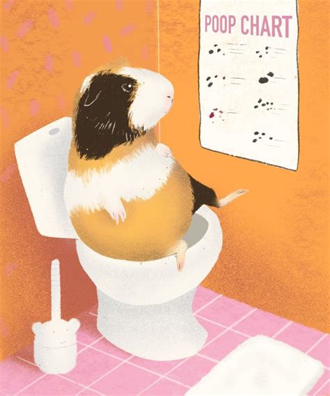 a guinea pig sitting on top of a toilet in a bathroom next to a sign