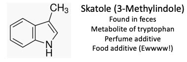 Skatole - A Natural Monstrosity in Perfume, Parliaments, Produce and ...