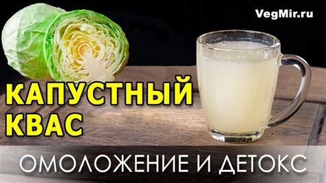 Капустный квас: секрет здоровой микрофлоры кишечника и очищения ...