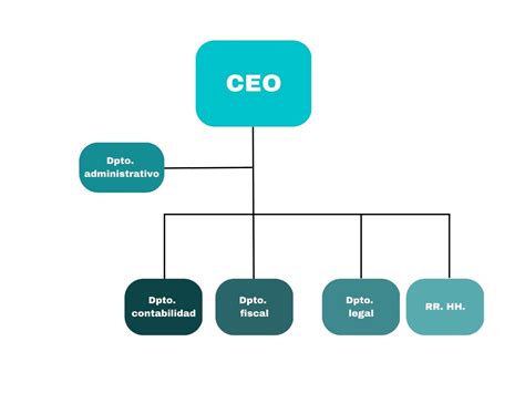 ¿cómo Crear El Organigrama De Una Asesoría O Gestoría