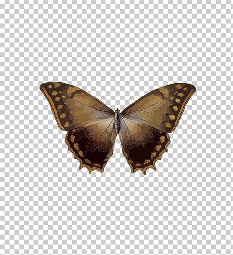 Butterfly Insect Menelaus Blue Morpho Rhetenor Blue Morpho PNG Clipart