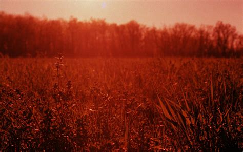 Sunlight Women Redhead Sunset Grass Field Evening Morning