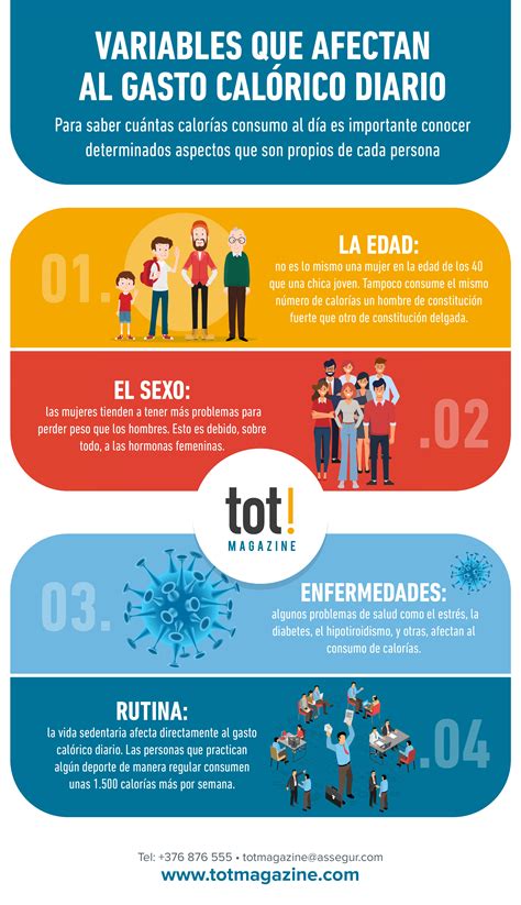 El Gasto En Alimento Infografia