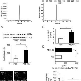 GL Treatment Decreased IL 2 Signal Transduction And SOCS 3 In The Lung