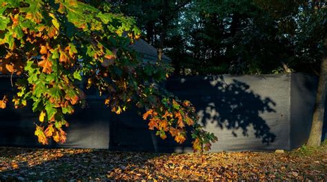 Fall foliage on Long Island: Why the season might be extended this year - Newsday