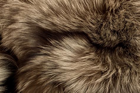 Polar Fox fur. Useful as texture - Western Fur Tannery Ltd.