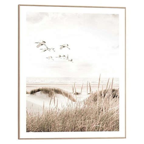 Reinders Bild Slim Frame Wood Botanical Beach B X H X Cm