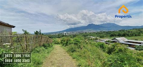 Rumaindo Kebun Jeruk Produktif Di Bumiaji Kota Wisata Batu