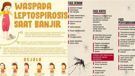 Apa Itu Leptospirosis Penyakit Langganan Saat Musim Hujan Berikut Ini