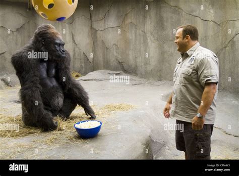 Zookeeper Gorilla Hi Res Stock Photography And Images Alamy