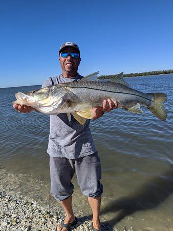 Ten Thousand Islands Nwr Naples Ce Qu Il Faut Savoir Pour