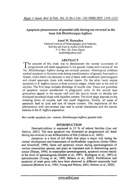 PDF Apoptosis Phenomenon Of Gonadal Cells During Sex Reversal In The