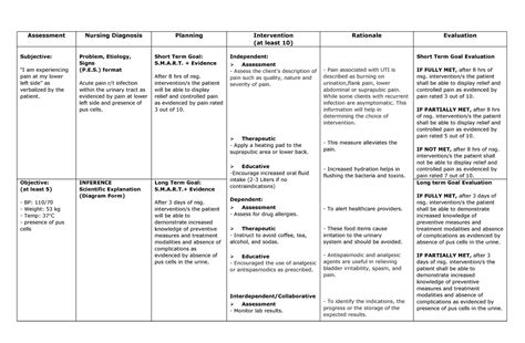 Infection Within The Urinary Tract Assessment Nursing Diagnosis