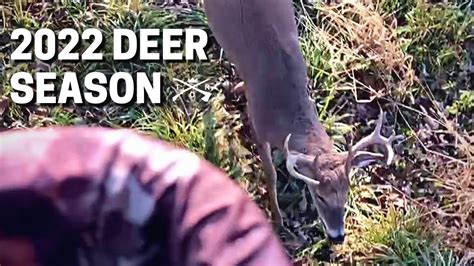 Whitetail Buck Walks Right Under Tree Stand Wisconsin Deer Hunting Youtube