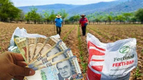 De Qu Trata La Estafa Del Bono Soy Peruano La Hora