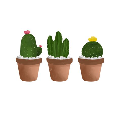 Cactus Sticker Png Transparent Cute Cactus Sticker Png Cactus Set