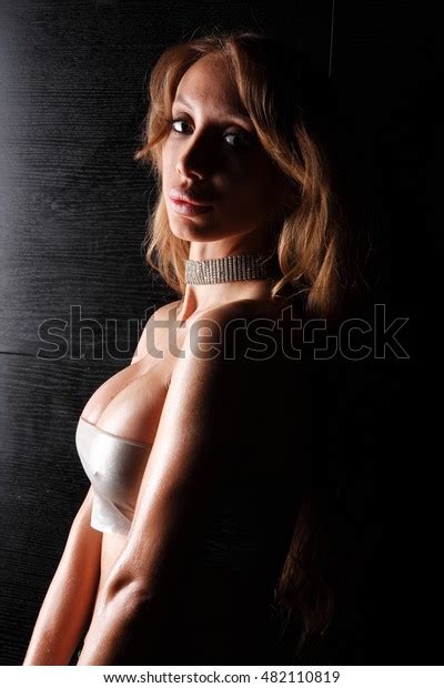 Sexy Model Lingerie Stock Photo Shutterstock