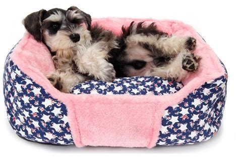 Как сшить лежанку из подушки для собаки