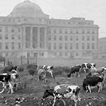 Boston Children's Hospital History - BCRP