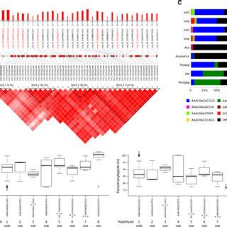 Figure S2 Mapping Of The GWAS Peak In Chromosome 6 Associated With