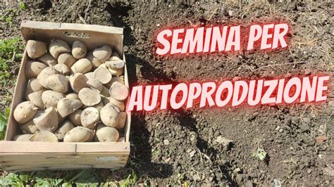 Come Seminare Le Patate Per Autoproduzione Youtube