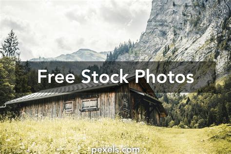 4k60 Fer Photos, Download The BEST Free 4k60 Fer Stock Photos & HD Images