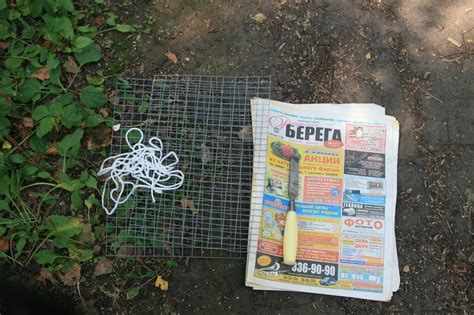 Лето под прессом. Как собирать и сушить растения для гербария - Хобби